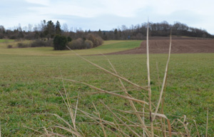 Landschaftsschutz in Goldkronach - UBL verhindert Flächenfraß