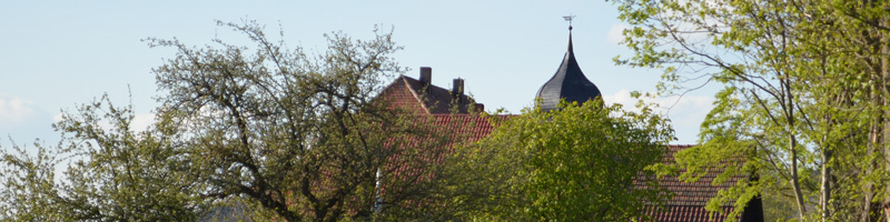 Leisau